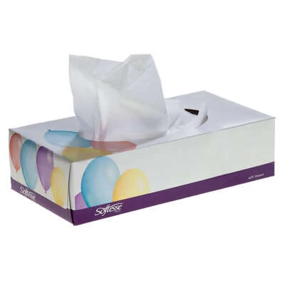 Softesse Facial Tissues 110 Sheets
