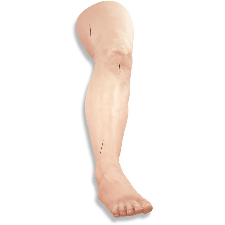 Suture Practice Leg