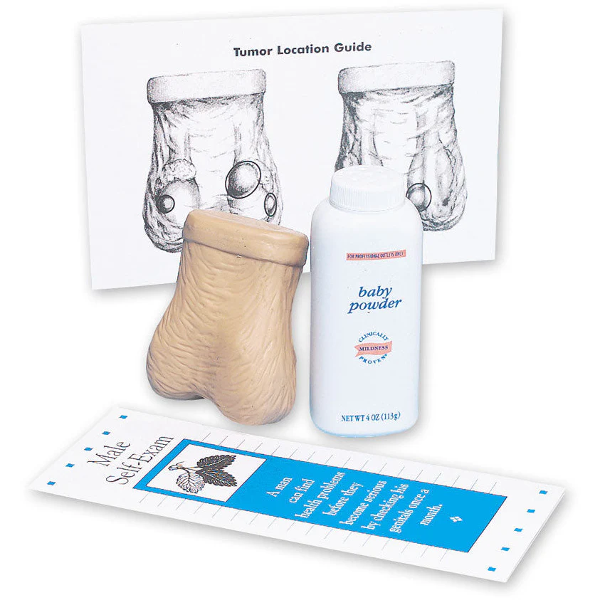 Testicle Self Examination Model
