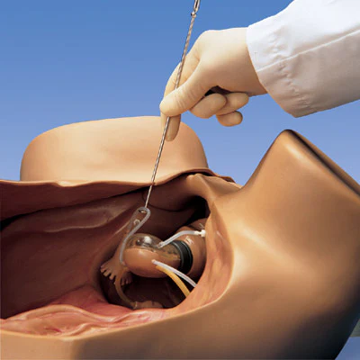 ZOE Gynecologic Simulator, Light - Image 3